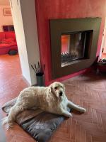 Casa Boru - a beautiful fully restored spacious house with fantastic views - B&B Calice al Cornoviglio