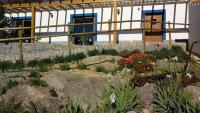Quinta da Idalina - Bed and Breakfast