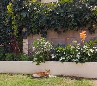 Sierras Alojamiento Departamentos - Ferienwohnung Mina Clavero