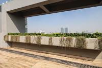 Lujoso y cómodo departamento en la mejor zona de Condesa - B&B Ciudad de México