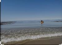 Cosy modern cottage by the sea, heart of snowdonia - Chambres d'hôtes Llwyngwril
