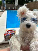 Kucerak111 - Chambres d’hôtes Vrdnik