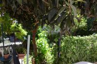 Morbey's Chalet - B&B