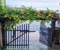 Recanto das tartarugas - B&B Mangaratiba