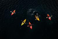 Milford Sound Overnight Cruise - Fiordland Discovery