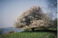 Chambre Double - Vue sur Jardin