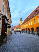 B&B Brasov - Hirscher Apartments - Bed and Breakfast Brasov