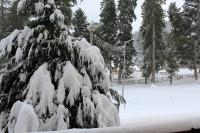 Fully Equipped Studio 50m from the slopes - Borovets, Flora Residence, Tulip 06 - B&B Borovets