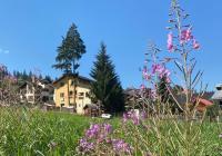 Pensiunea "Casa Frasin" - Chambres d’hôtes Vatra Dornei