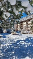 Mountain Apartment Rododendro - Ferienwohnung Tarvisio