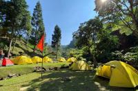 Wong Deso Camping - B&B Seminyak
