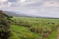 Acogedor Apartamento en Buga - Chambres d’hôtes Buga