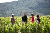 Cabin with Garden View