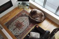 Spacious loft apartment York city centre - B&B York