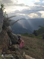 Cabañas Cañon Del Chicamocha