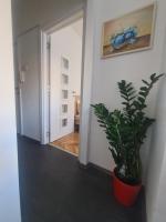 Apartman Zlatovo Stan Na Dan - B&B Požarevac