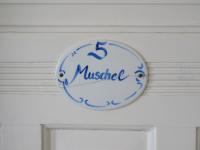 Muschel in der Villa Medici - Ferienwohnung Norderney