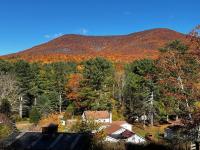 Catskills Quaint Cottage with Peloton Minutes from Hiking - B&B Mount Tremper