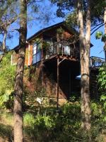 B&B Buderim - Beautifully Elevated Treehouse Apartment - Bed and Breakfast Buderim