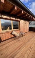 Chic lodge-apartments - B&B Ehrwald