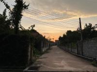 Bungalow avec Terrasse