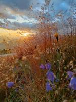 Appartamenti Sonnenuhr - Bed and Breakfast Sexten