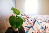Votre oasis de tranquillité proche de la ville T2 entièrement rénové et équipé secteur centre - B&B Fort-de-France