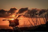 Casa do Miradouro - Bed and Breakfast