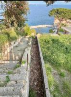 Alloggio da sogno nel verde di Posillipo - B&B Napoli