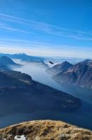 Muota River Loft & Muota Industry Apartment near Stoos - B&B Muotathal