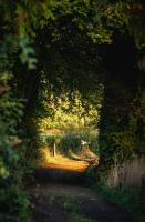 Middledown - Chambres d’hôtes Alton