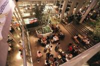 T-house Bkk - Max15 people with private swimming pool - B&B Bangkok