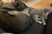 Grange De Sagne maison et table d hôtes avec dîner sur réservation - B&B Saint-Jean-Roure