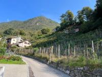 Violet-Sky Bellinzona - B&B Bellinzona