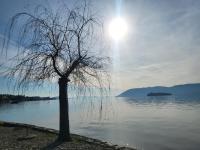 Bella Vista Lago Maggiore Einzigartiger Blick 365 Tagen - Bed and Breakfast Ghiffa