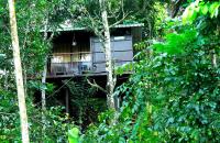 The wayside cottage Munnar - Ferienwohnung