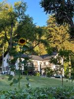 Starite Borove - Bed and Breakfast
