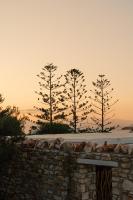 VOTSALO - Semi Based Studio with Indoor Garden - Part Of White Dunes Luxury Boutique Hotel - Chambres d'hôtes Naoussa