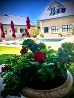 B&B Plettenberg Bay - Stoneridge farm - Bed and Breakfast Plettenberg Bay