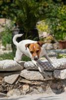 Apartment with Garden View