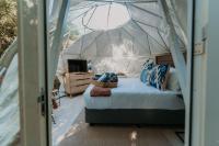 B&B Stormsriviermond - The Forest Dome by Once Upon a Dome @ Misty Mountain Reserve - Bed and Breakfast Stormsriviermond