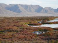 Precioso apartamento en Cabo de Gata - B&B El Cabo de Gata