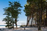 C25-studio - Bed and Breakfast Pobierowo