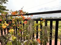Rozay Travellers Inn - B&B