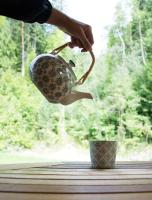 Haus Schatzl Apartments mit Gartenanteil und Bademöglichkeit im Fluss - B&B Bad Aussee