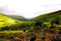 The Castle, Capel-y-Ffin, The Black Mountains - Ferienwohnung Abergavenny