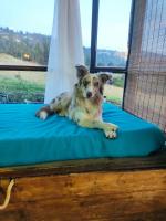 Balcones del Lago de Tota - B&B Sogamoso