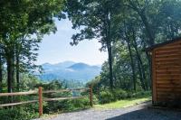 Modern Mountain Cabin - Spectacular Views at 3100 ft - B&B Waynesville
