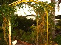 The Palms Albertinia - B&B