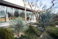 Elegant modern Villa in olive grove - Ferienwohnung Surano